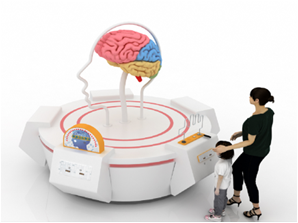 人的智慧与大脑