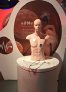 听身体的声音